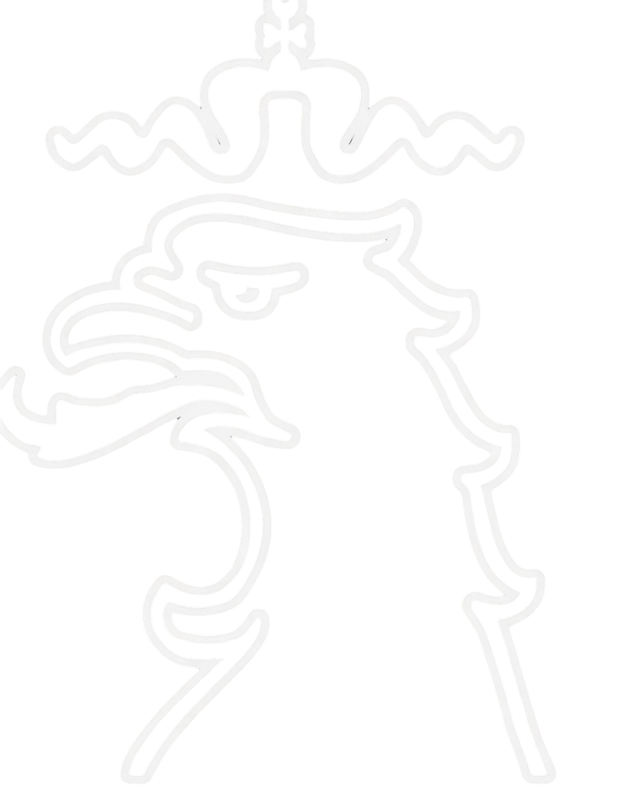 logo zzhk